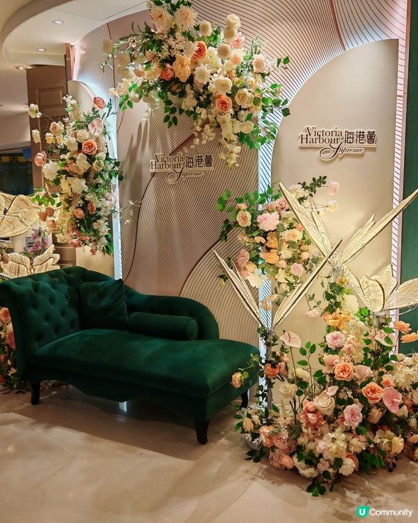 晚飯時段38蚊倒牌燒鵝,  超正.