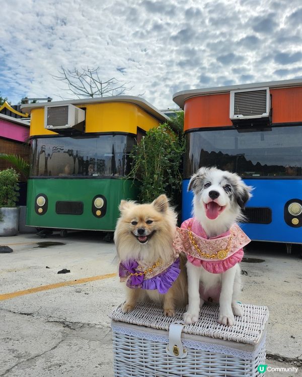 七彩篤篤車包廂