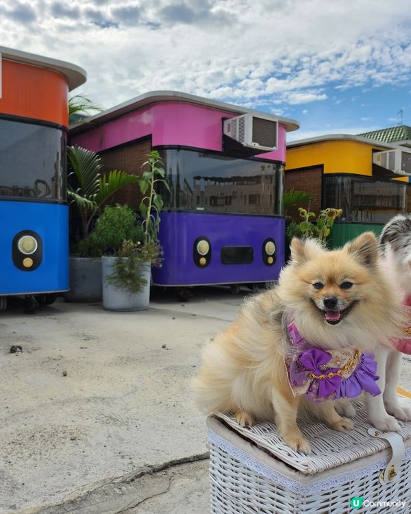 七彩篤篤車包廂