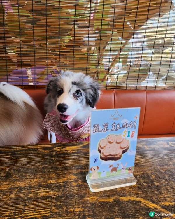 七彩篤篤車包廂