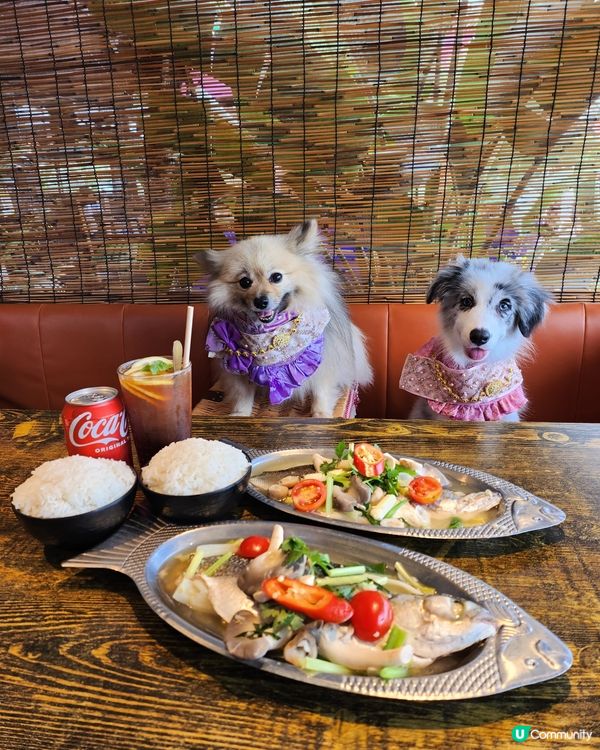 七彩篤篤車包廂