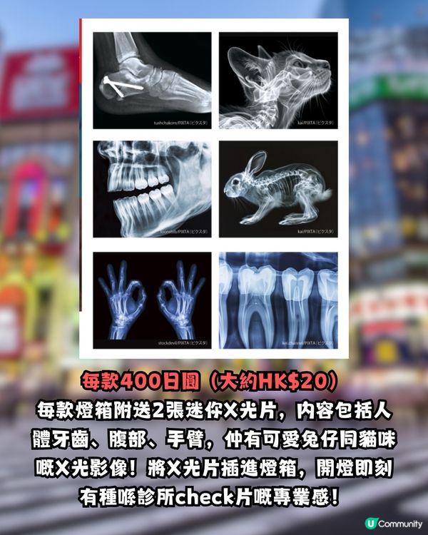 日本最新！爆紅X光扭蛋！迷你X光片燈箱超神奇/全套5款必收藏！