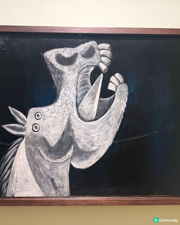 🎨 M+畢加索展覽打卡！🤩