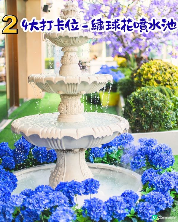 去深圳Labubu餐廳打卡！免費生日佈置 / 繡球花藍花楹裝飾🤤4大打卡位‼️地鐵直達