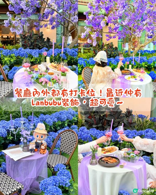 去深圳Labubu餐廳打卡！免費生日佈置 / 繡球花藍花楹裝飾🤤4大打卡位‼️地鐵直達