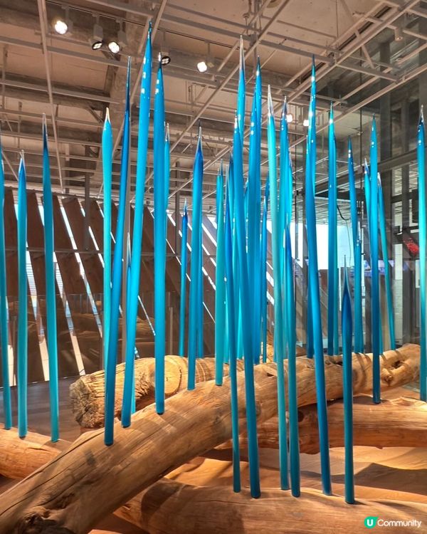 富山玻璃美術館 ✨ 木造建築，森林感十足！