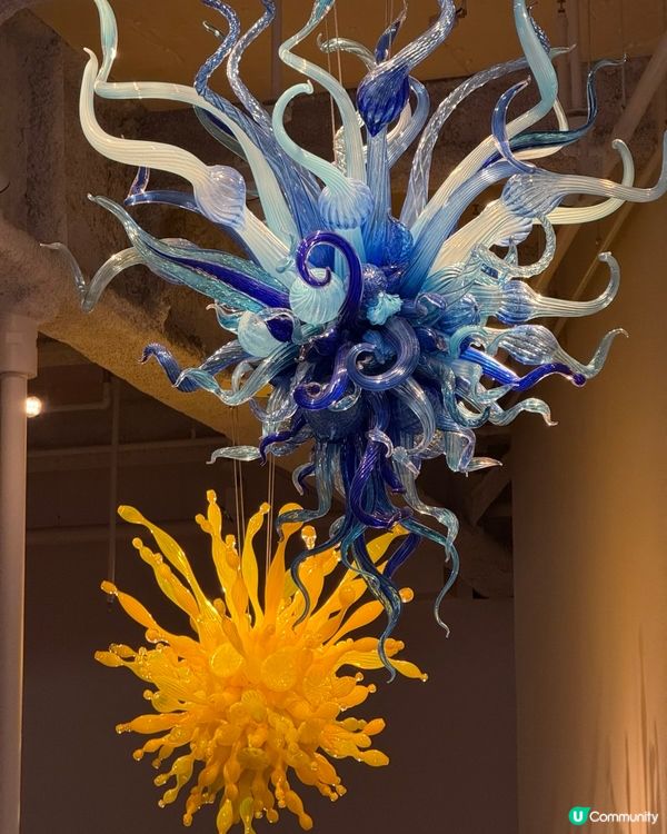 富山玻璃美術館 ✨ 木造建築，森林感十足！