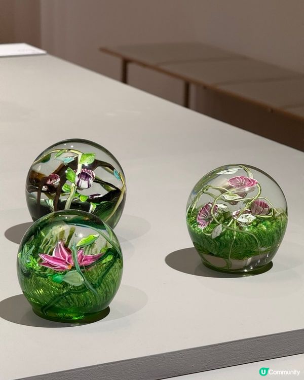 富山玻璃美術館 ✨ 木造建築，森林感十足！