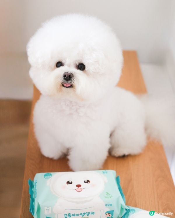 為狗狗而設嘅濕紙巾😆✨