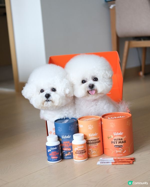 毛孩健康，天然至上！🐶💖