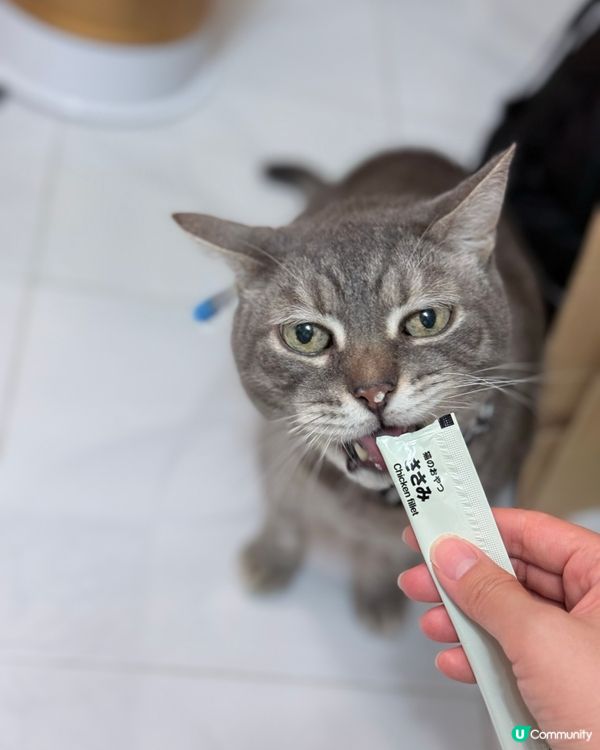 MUJI 無印良品🇯🇵貓條試食報告😼