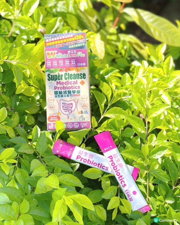 WholeLove Plus 腸腩清益生菌幫你輕鬆瘦