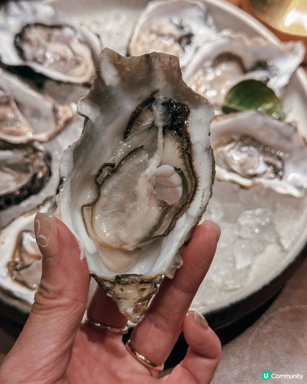 270度海景+ 90分鐘任食生蠔