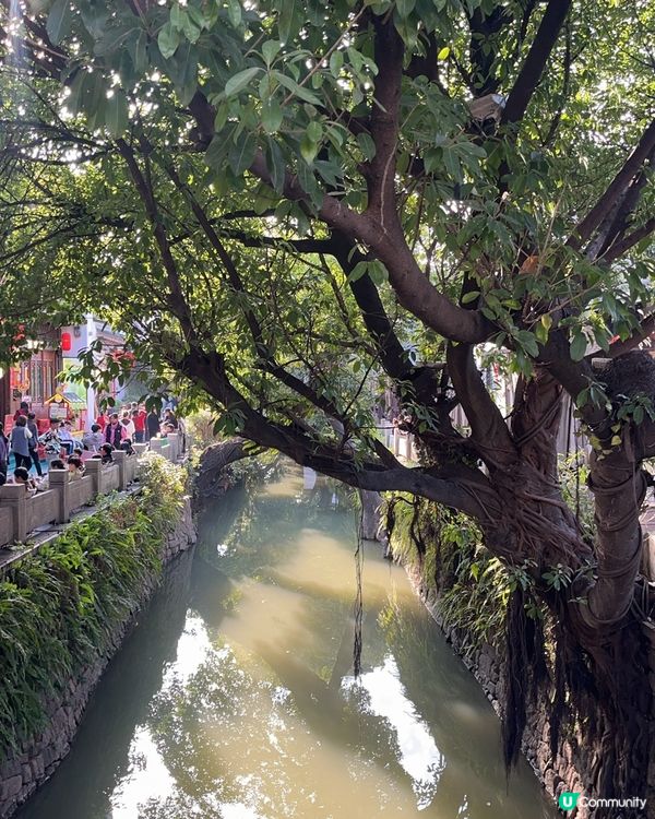 福州三坊七巷，親子遊必去！🏯🚶‍♀️🚶‍♂️