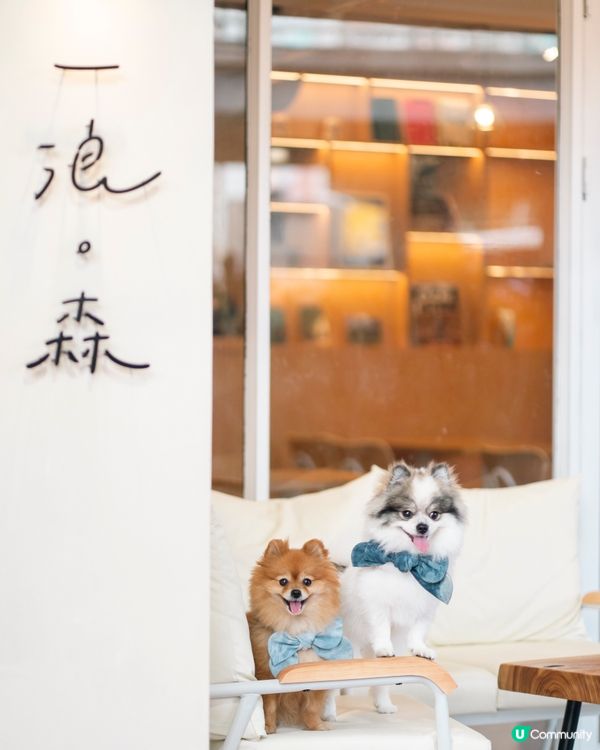 🐶🐾 一浪大角咀開新店！宋皇臺站附近，仲係寵物友善餐廳