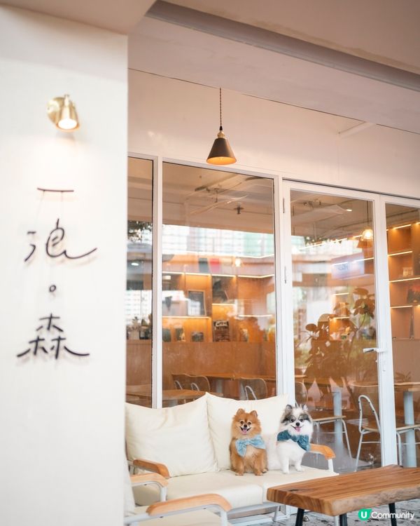 🐶🐾 一浪大角咀開新店！宋皇臺站附近，仲係寵物友善餐廳