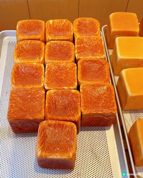 珠海生吐司人龍店❤️‍🔥超多款Bagel零防腐劑🌟