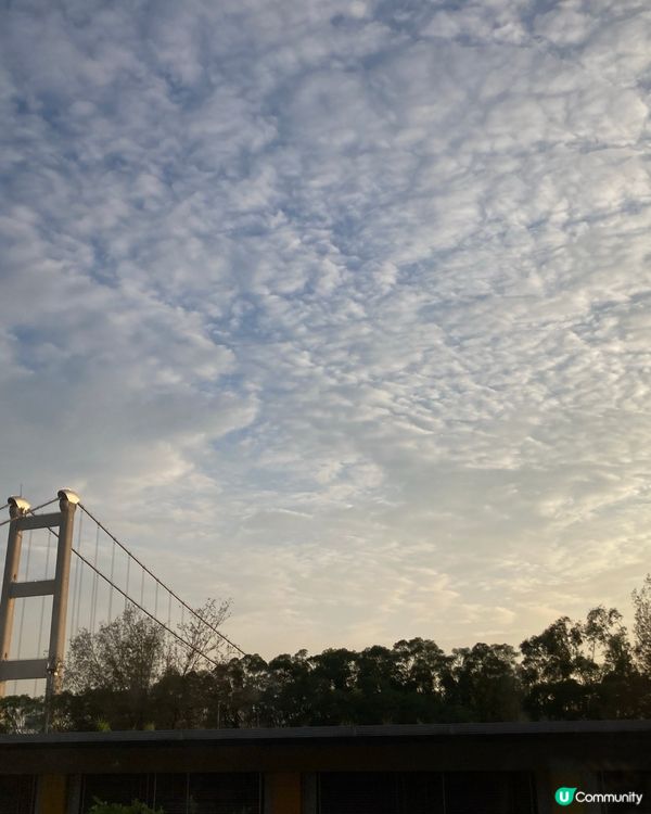 青馬大橋，夕陽無限好🌅