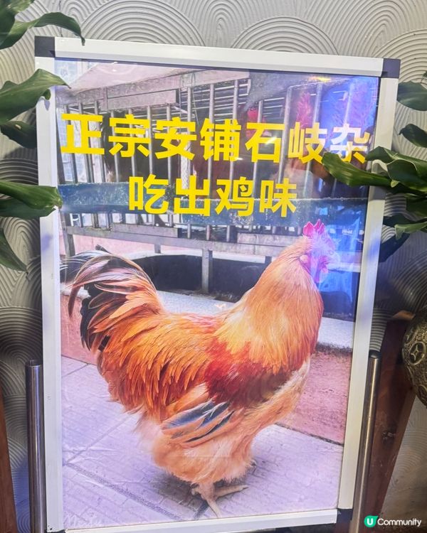 ✨✨福田水圍搵食——龍湫火鍋✨✨