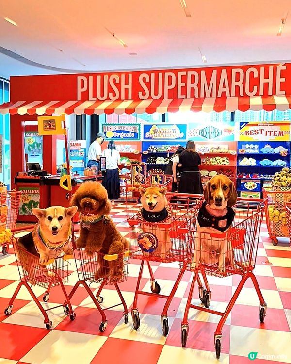 公仔超市新貨上架！🤩