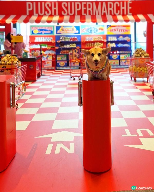 公仔超市新貨上架！🤩