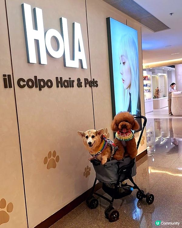 🐶🛁 靚仔變身！🐶🛁人寵同時美容