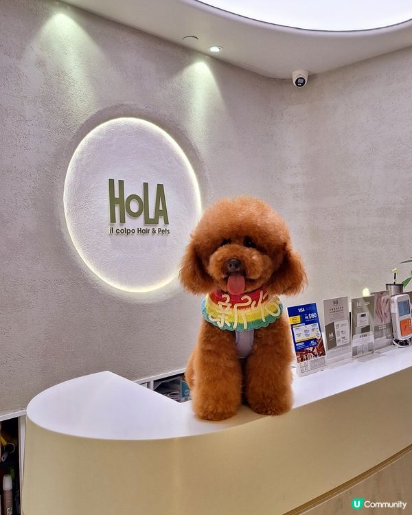 🐶🛁 靚仔變身！🐶🛁人寵同時美容