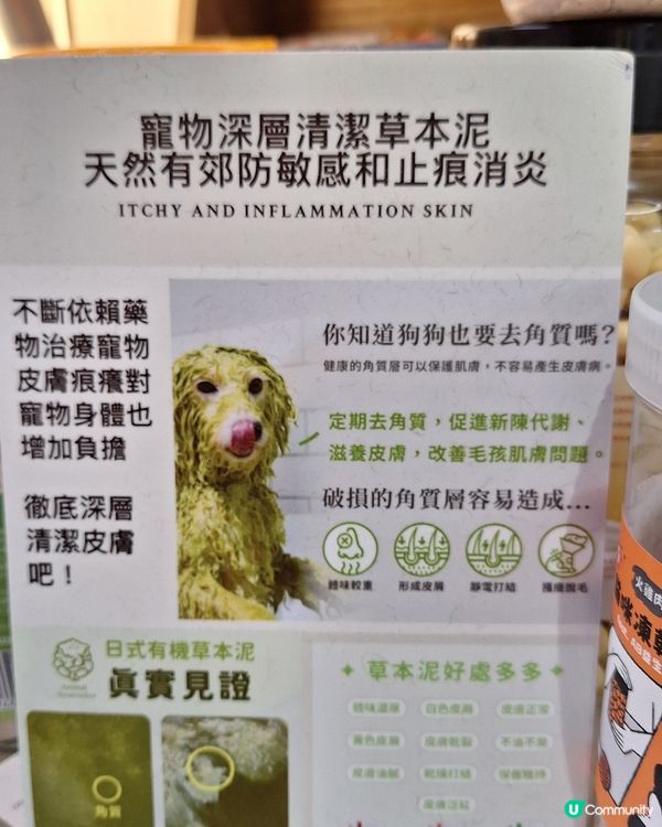 🐶🛁 靚仔變身！🐶🛁人寵同時美容