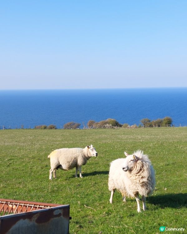 晴天閒遊北威爾斯 Llandudno