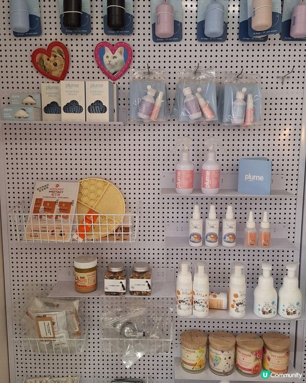 🐶🛁 靚仔變身！🐶🛁人寵同時美容