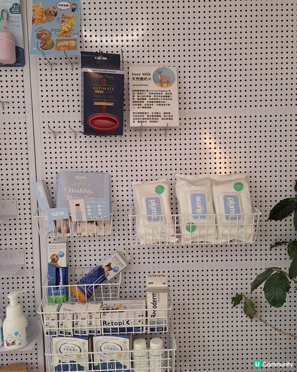 🐶🛁 靚仔變身！🐶🛁人寵同時美容