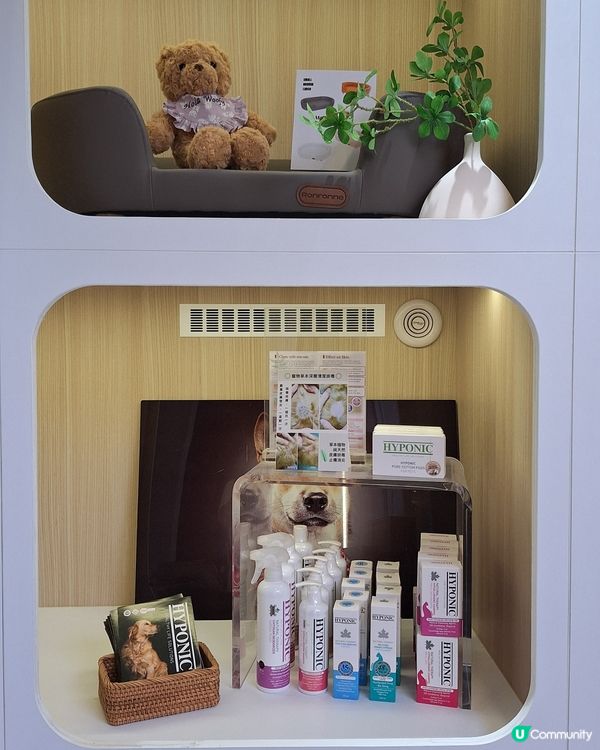 🐶🛁 靚仔變身！🐶🛁人寵同時美容