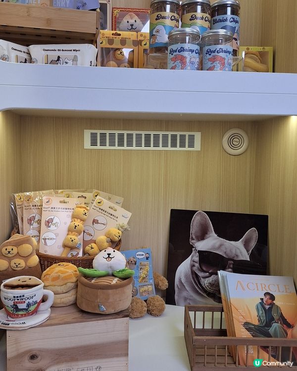 🐶🛁 靚仔變身！🐶🛁人寵同時美容