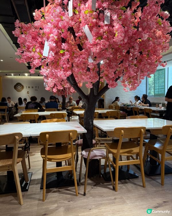 荃灣打邊爐🌸 許願牆打卡📸