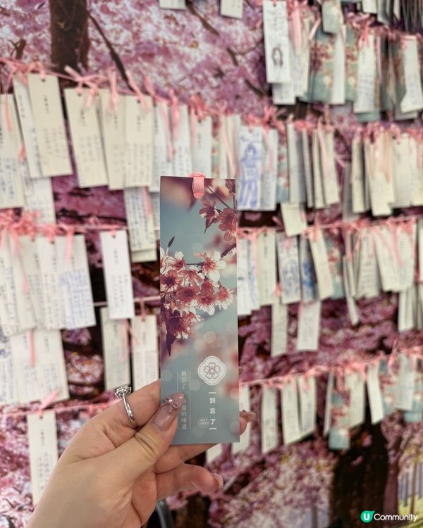 荃灣打邊爐🌸 許願牆打卡📸