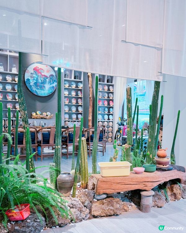 大理茶莊打卡📸