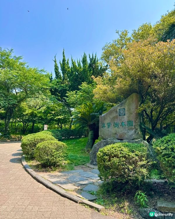 🇰🇷韓國濟州島漢拏樹木園「植物愛好者的靜謐天地🌱」