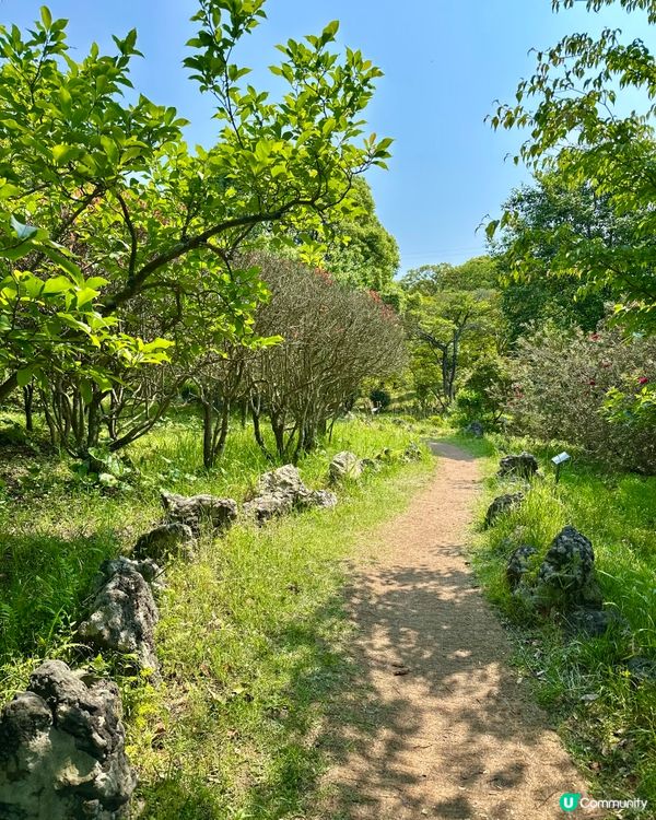 🇰🇷韓國濟州島漢拏樹木園「植物愛好者的靜謐天地🌱」