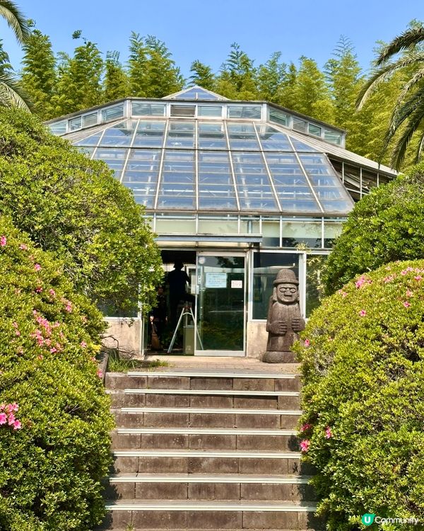 🇰🇷韓國濟州島漢拏樹木園「植物愛好者的靜謐天地🌱」
