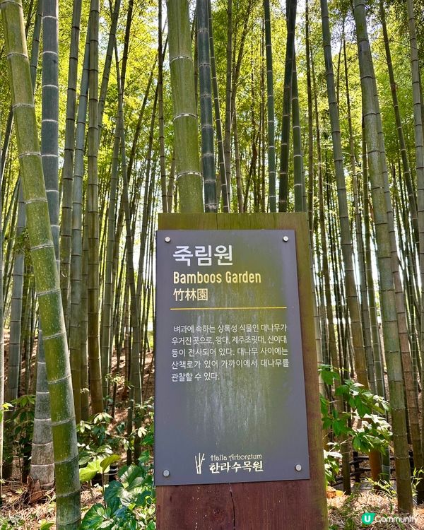 🇰🇷韓國濟州島漢拏樹木園「植物愛好者的靜謐天地🌱」