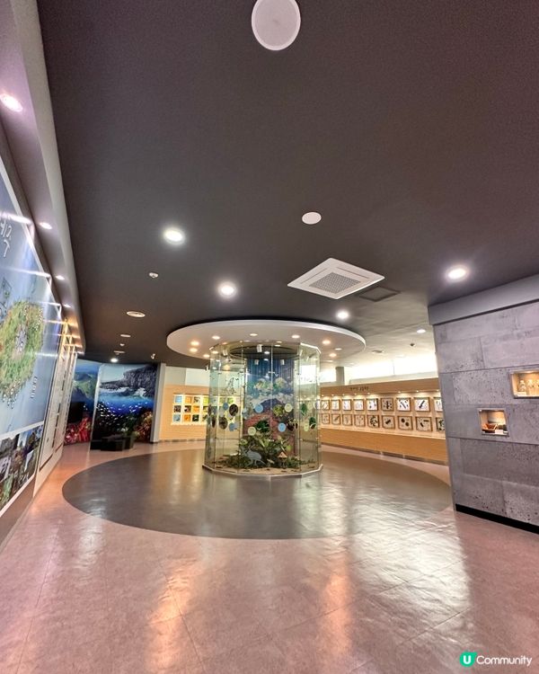 🇰🇷韓國濟州島漢拏樹木園「植物愛好者的靜謐天地🌱」