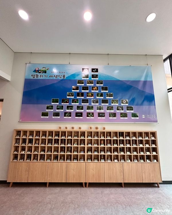 🇰🇷韓國濟州島漢拏樹木園「植物愛好者的靜謐天地🌱」