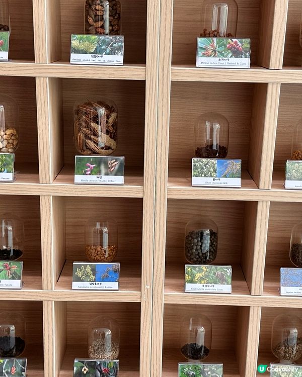 🇰🇷韓國濟州島漢拏樹木園「植物愛好者的靜謐天地🌱」