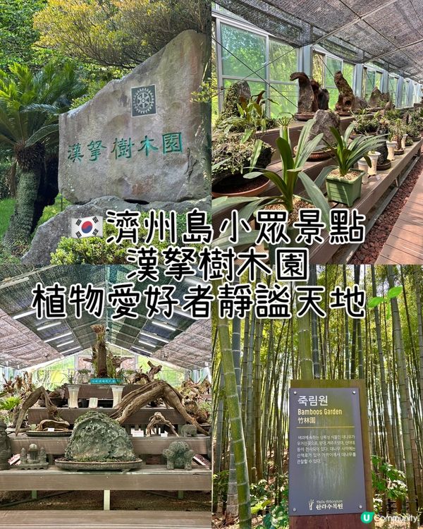🇰🇷韓國濟州島漢拏樹木園「植物愛好者的靜謐天地🌱」