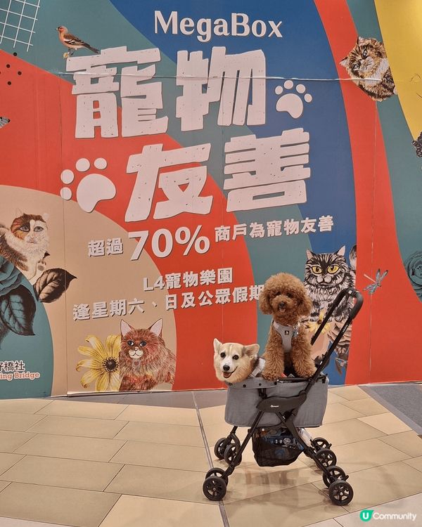 吃喝玩樂，衣食住行，集於一身，夏天好去處。