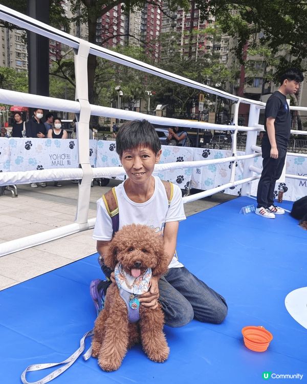 吃喝玩樂，衣食住行，集於一身，夏天好去處。