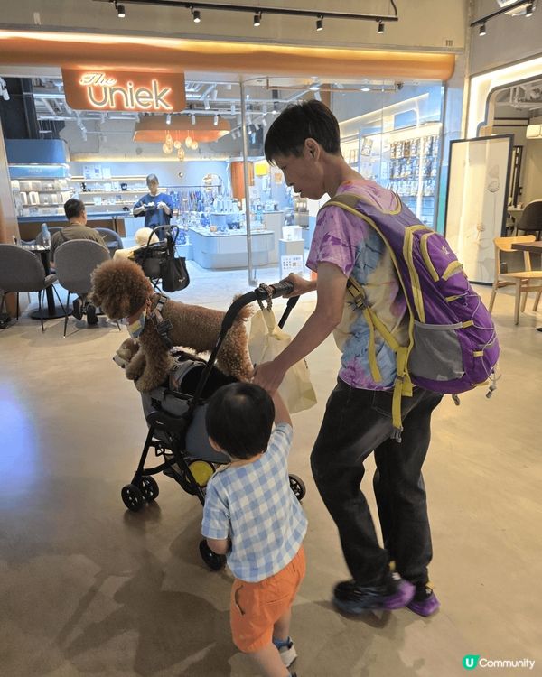 吃喝玩樂，衣食住行，集於一身，夏天好去處。