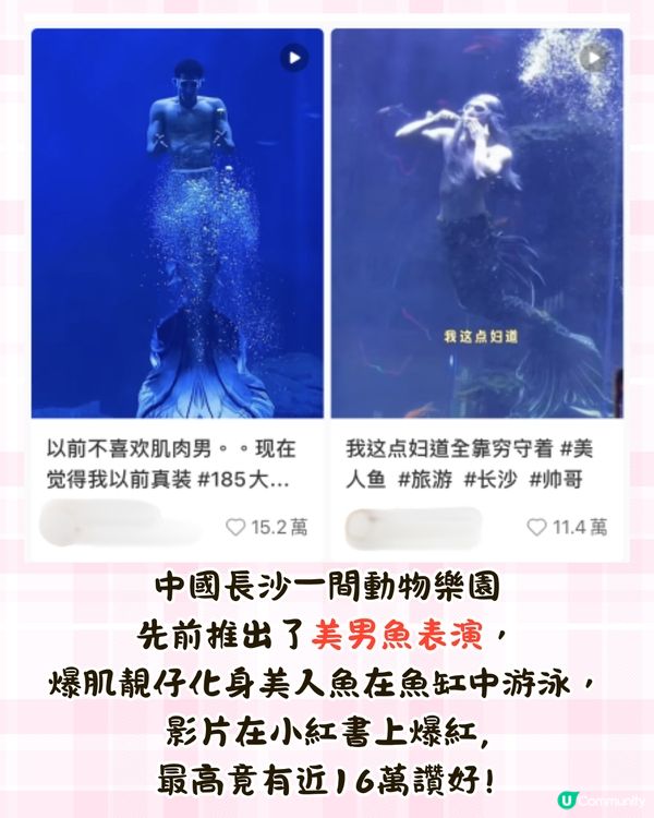 內地水族館推出「美男魚秀」🧜‍♂️猛男水底爆衫騷肌極性感😍附廣州/深圳男美人魚秀3大地點