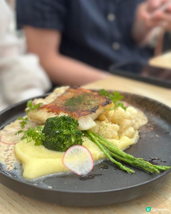 西環新發現！😋 舒服環境嘆美食