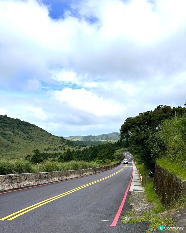 陽明山繡球花盛開啦🌸